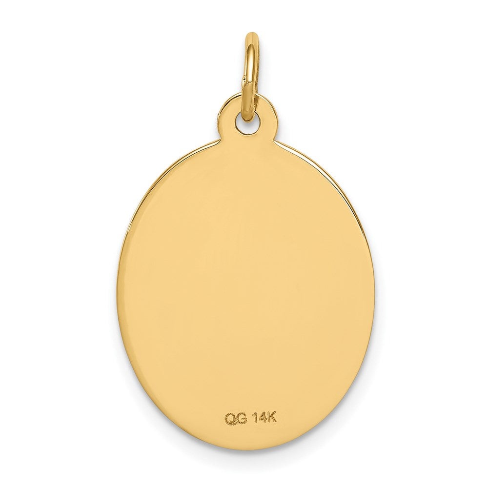 14k Yellow Gold Non-enameled Medical Jewelry Pendant