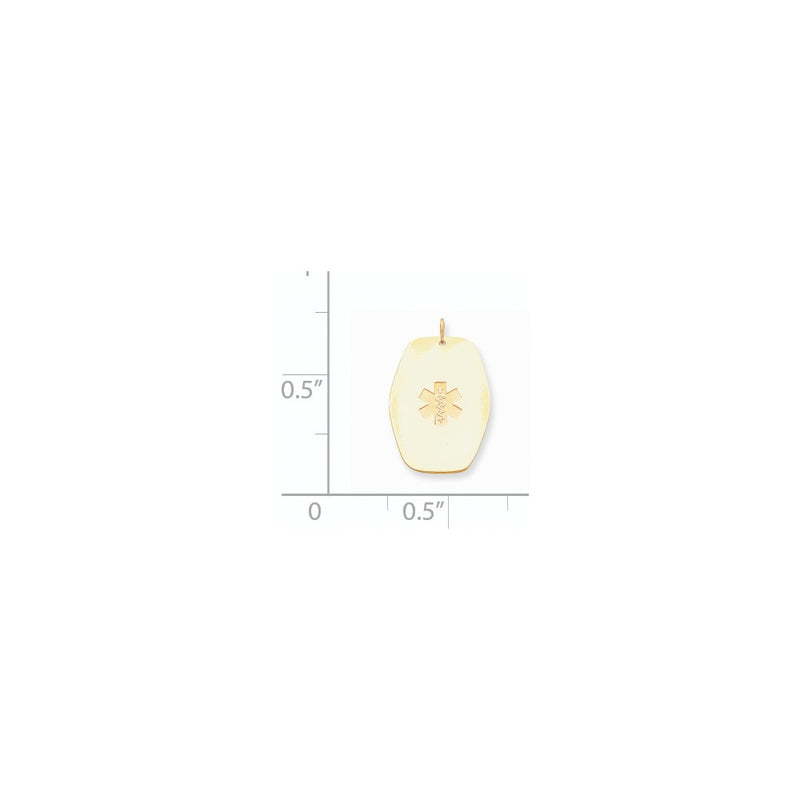 14k Yellow Gold Non-enameled Medical Jewelry Pendant