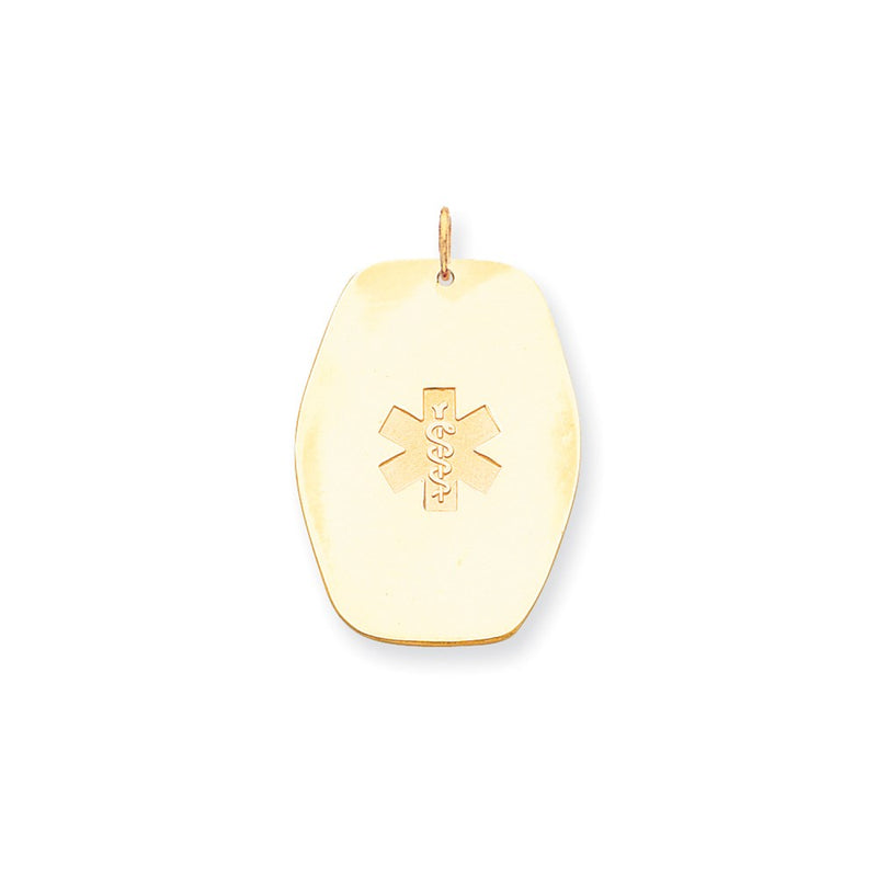 14k Yellow Gold Non-enameled Medical Jewelry Pendant