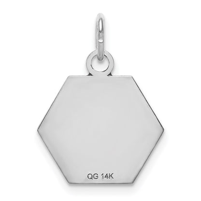 14k White Gold Red Enamel Medical Jewelry Pendant