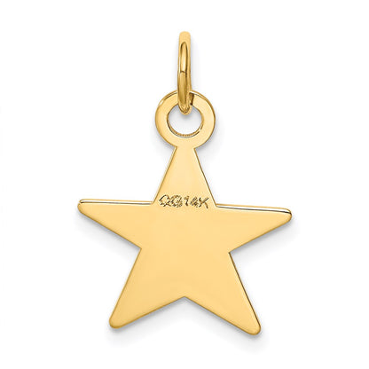 14k Yellow Gold Star Disc Charm