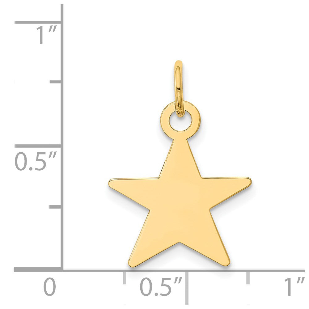 14k Yellow Gold Star Disc Charm