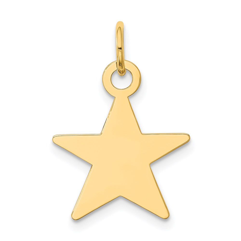 14k Yellow Gold Star Disc Charm