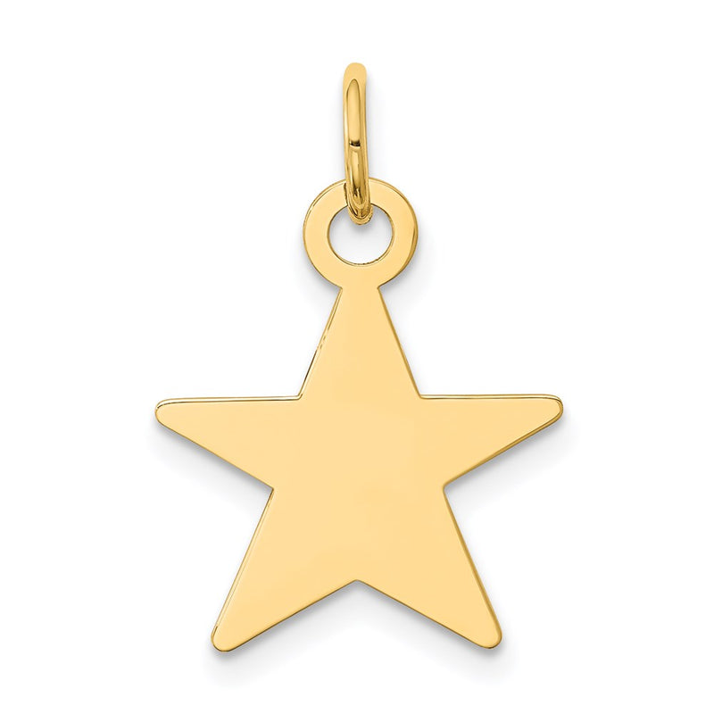 14k Yellow Gold Star Disc Charm