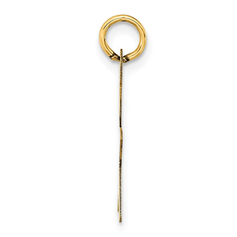14k Yellow Gold Star Disc Charm