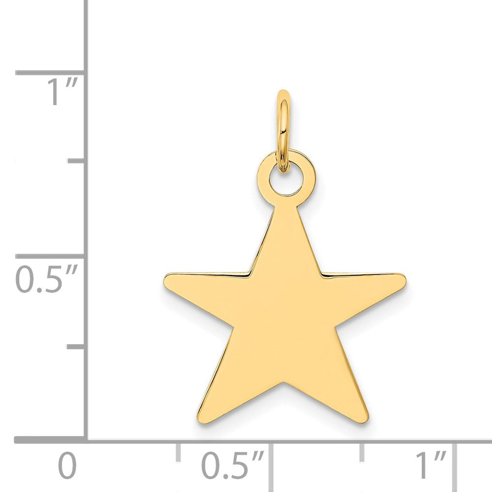 14k Yellow Gold Star Disc Charm