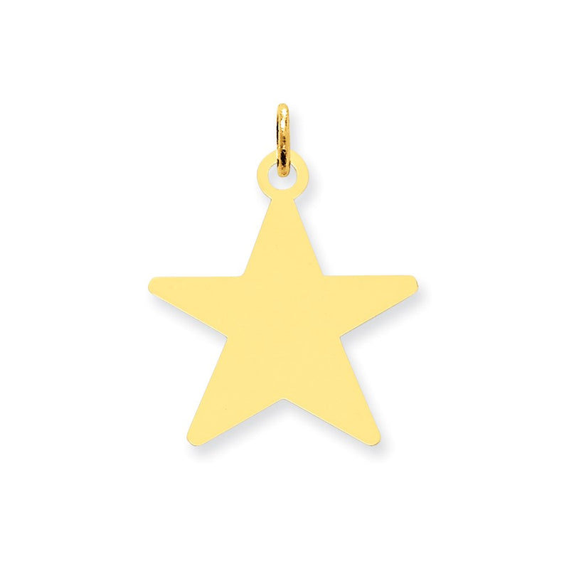 14k Yellow Gold Star Disc Charm