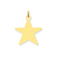 14k Yellow Gold Star Disc Charm