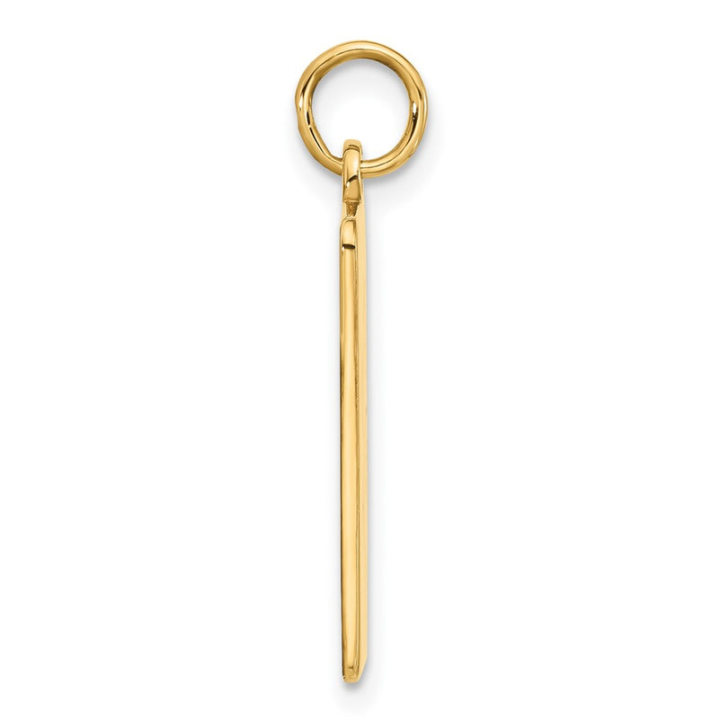 14k Yellow Gold Red Enamel Medical Jewelry Pendant