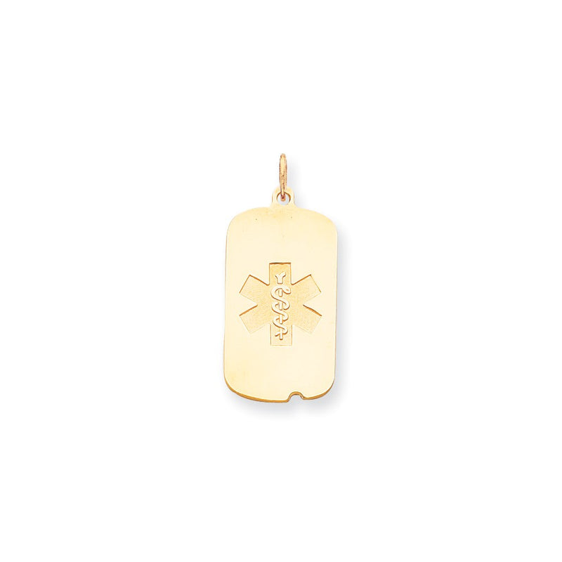 14k Yellow Gold Non-enameled Medical Jewelry Pendant