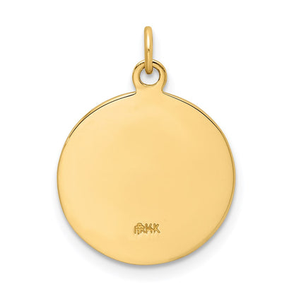 14k Yellow Gold Solid Polished/Satin Small St. Florian Medal