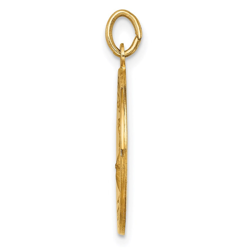 14k Yellow Gold Solid Polished/Satin Medium St. Florian Medal