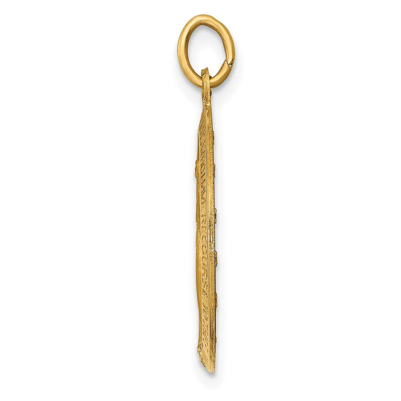 14k Yellow Gold Solid Polished and Satin Oval Miraculous Medal