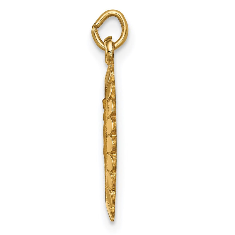 14k Yellow Gold Solid Polished/Satin Small Oval Scalloped Miraculous Medal