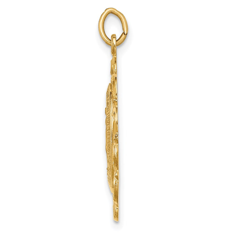 14k Yellow Gold Solid Polished/Satin Fancy Pierced Oval Miraculous Medal