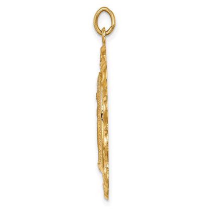 14k Yellow Gold Solid Polished/Satin Fancy Pierced Oval Miraculous Medal