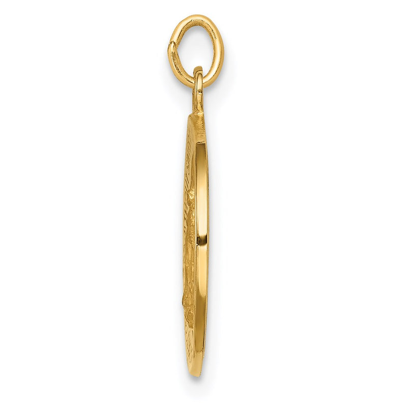 14k Yellow Gold Solid Polished/Satin Round Miraculous Medal