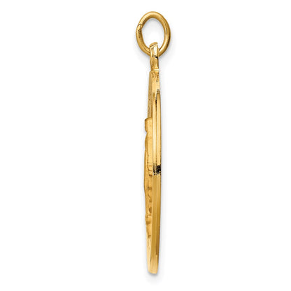 14k Yellow Gold Solid Polished/Satin Round Miraculous Medal