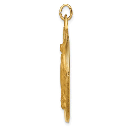 14k Yellow Gold Solid Polished/Satin Large Round Miraculous Medal