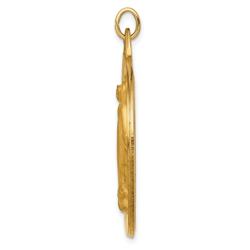 14k Yellow Gold Solid Polished/Satin Large Round Miraculous Medal