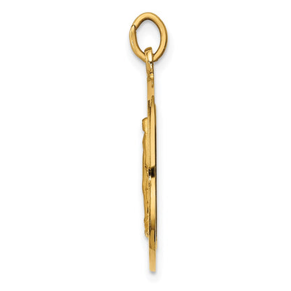 14k Yellow Gold Solid Polished/Satin Medium Round Miraculous Medal