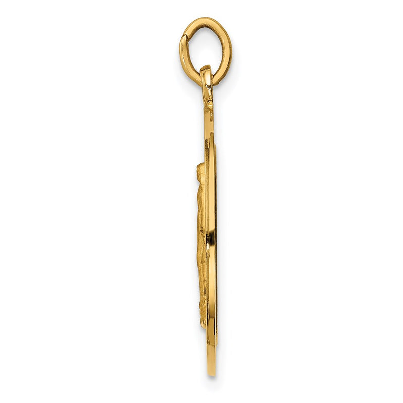 14k Yellow Gold Solid Polished/Satin Medium Round Miraculous Medal
