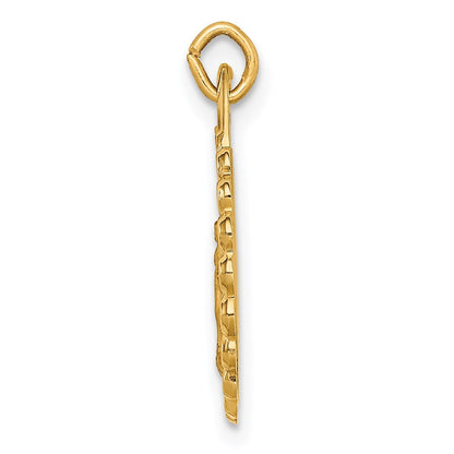 14k Yellow Gold Solid Polished/Satin Small Round Scalloped Miraculous Medal