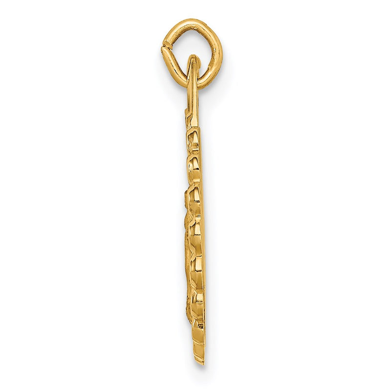 14k Yellow Gold Solid Polished/Satin Small Round Scalloped Miraculous Medal