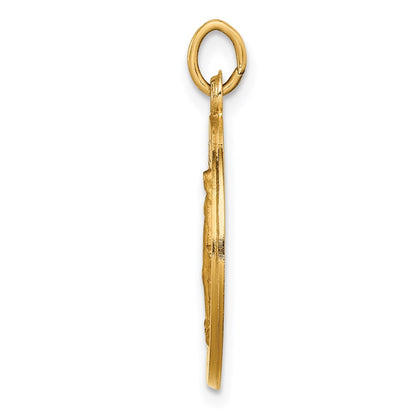 14k Yellow Gold Solid Polished/Satin Small Round Miraculous Medal