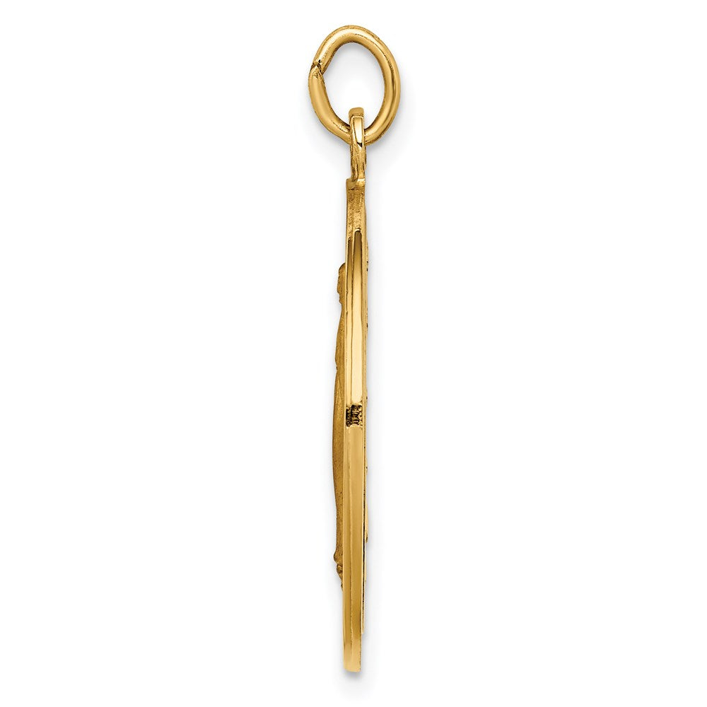 14k Yellow Gold Solid Polished/Satin Large Round Miraculous Medal
