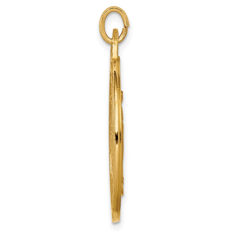 14k Yellow Gold Solid Polished/Satin Extra Large Round Miraculous Medal