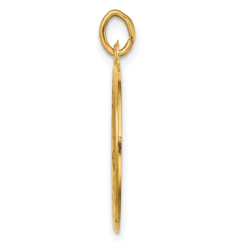 14k Yellow Gold Solid Polished/Satin Small Round St. Joseph Medal