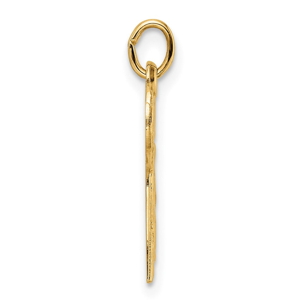 14k Yellow Gold Polished and Textured Solid Chai Symbol Pendant