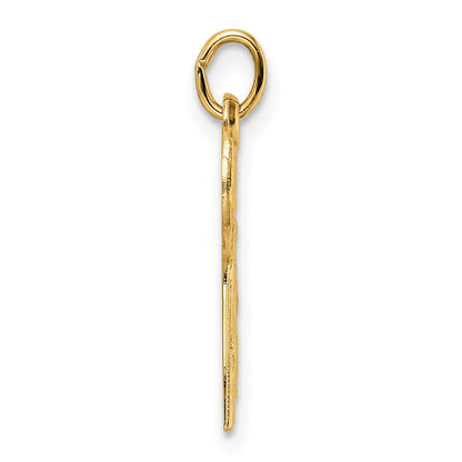 14k Yellow Gold Polished and Textured Solid Chai Symbol Pendant