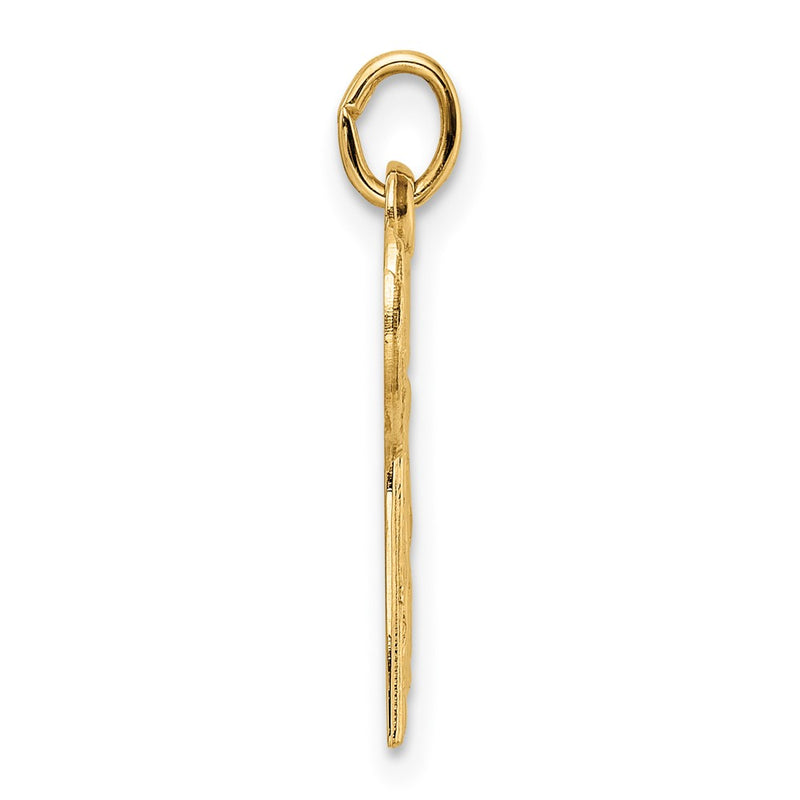14k Yellow Gold Polished and Textured Solid Chai Symbol Pendant