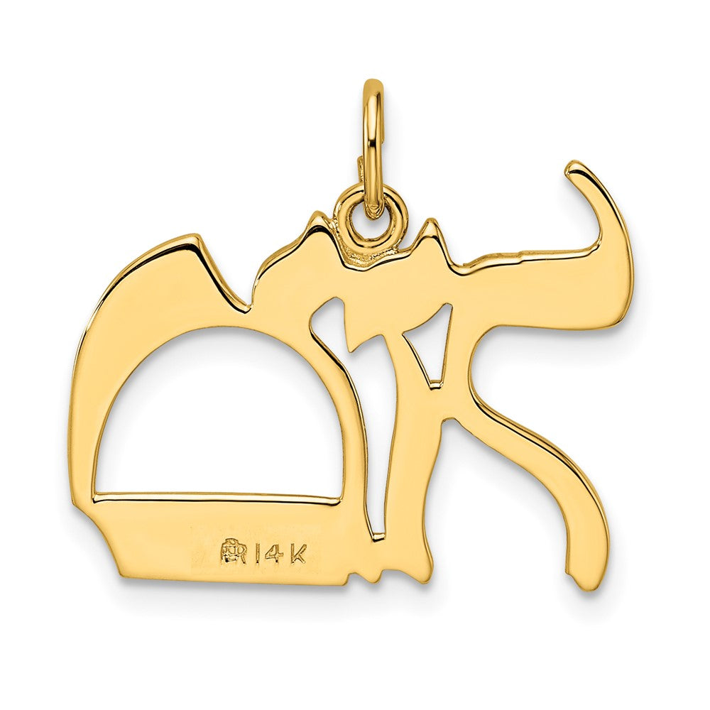 14k Yellow Gold Polished Solid Mazel Symbol Pendant