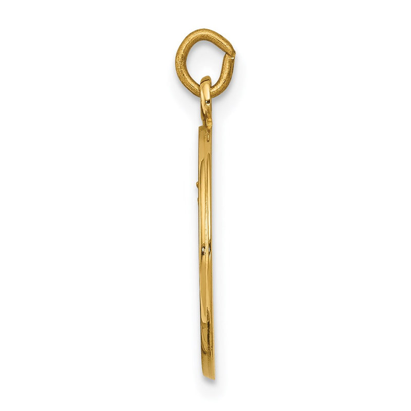 14k Yellow Gold Our Lady of Mount Carmel Medal Charm