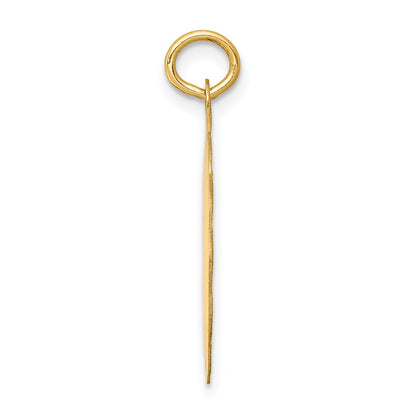 14k Yellow Gold First Holy Communion Disc Charm
