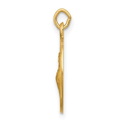 14k Yellow Gold Saint Francis of Assisi Medal Charm