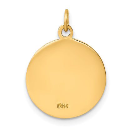 14k Yellow Gold Saint Francis of Assisi Medal Charm