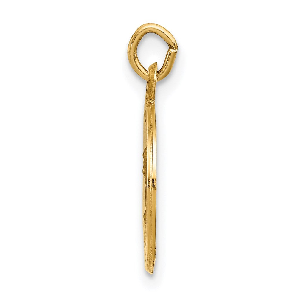 14k Yellow Gold Saint Mark Medal Charm
