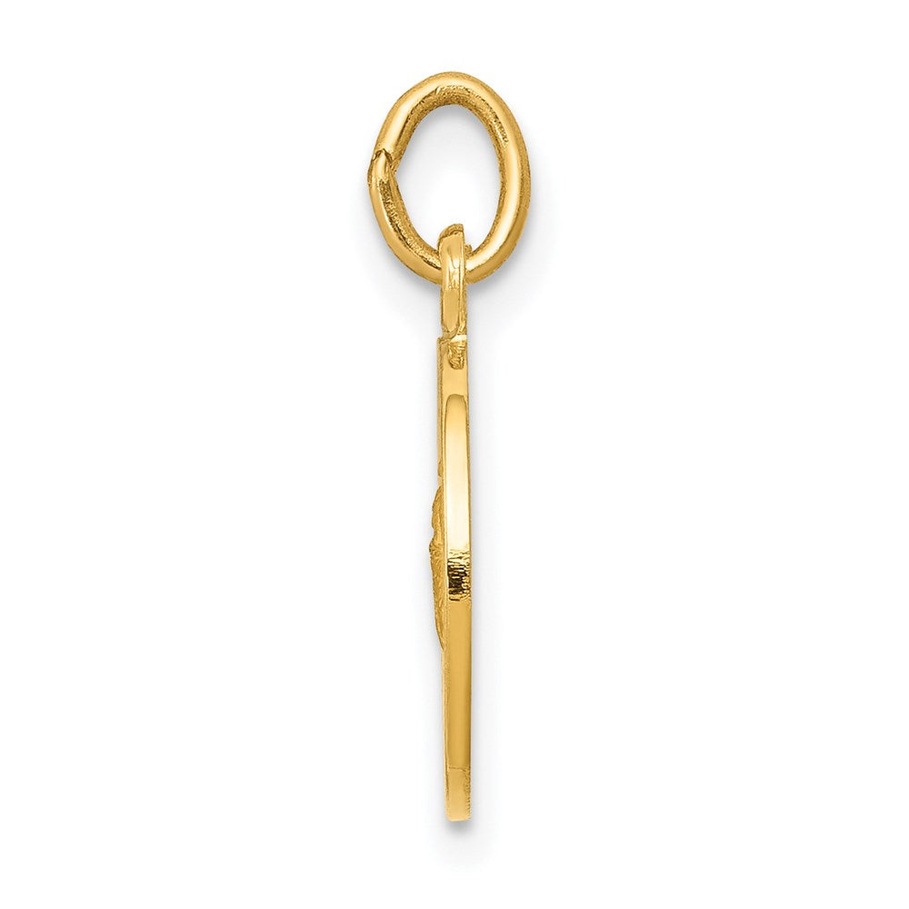 14k Yellow Gold Saint Martha Medal Pendant