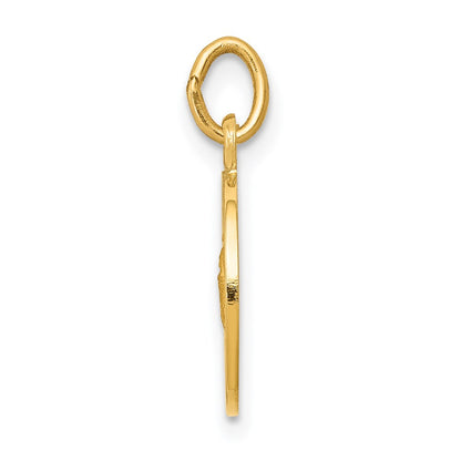 14k Yellow Gold Saint Martha Medal Pendant