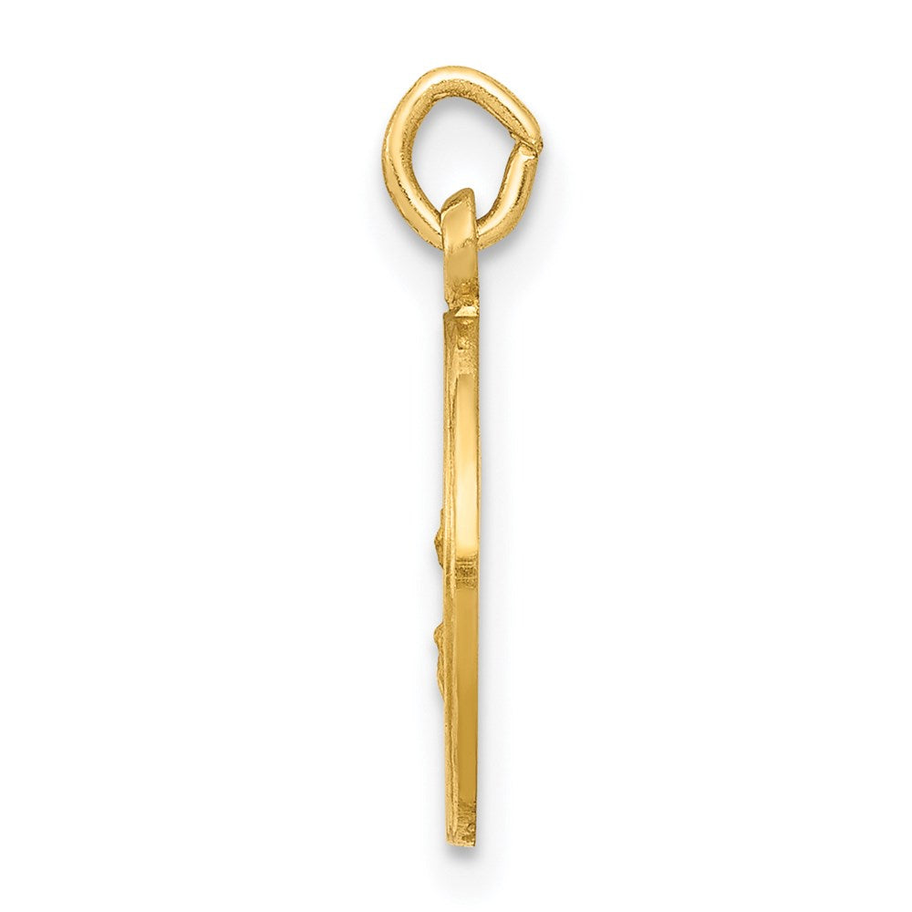 14k Yellow Gold Our Lady Of The Assumption Medal Charm