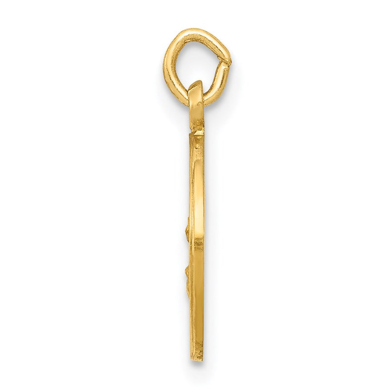 14k Yellow Gold Our Lady Of The Assumption Medal Charm