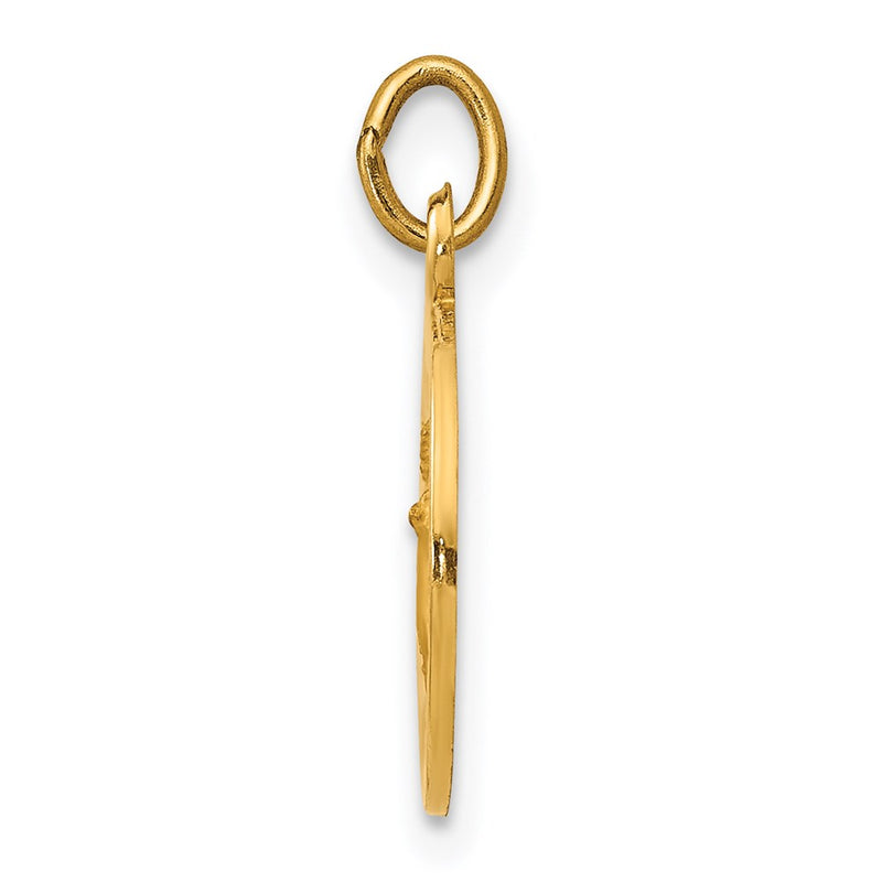14k Yellow Gold Infant of Prague Medal Charm