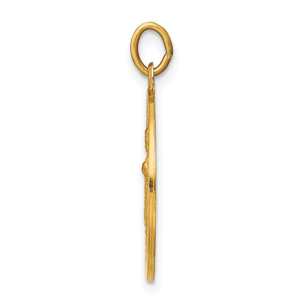 14k Yellow Gold Infant of Prague Medal Charm