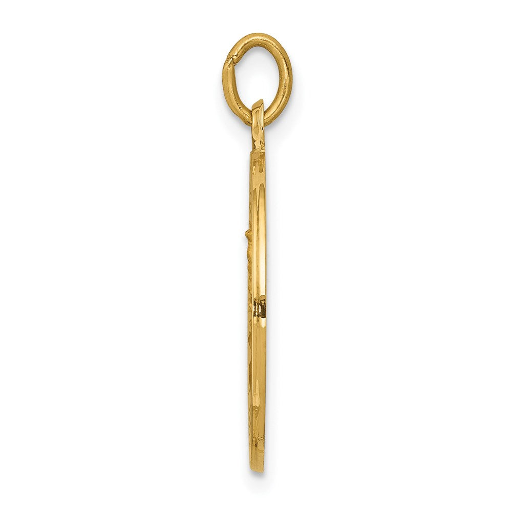 14k Yellow Gold Our Lady of Mt. Carmel Medal Charm