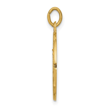14k Yellow Gold Our Lady of Mt. Carmel Medal Charm