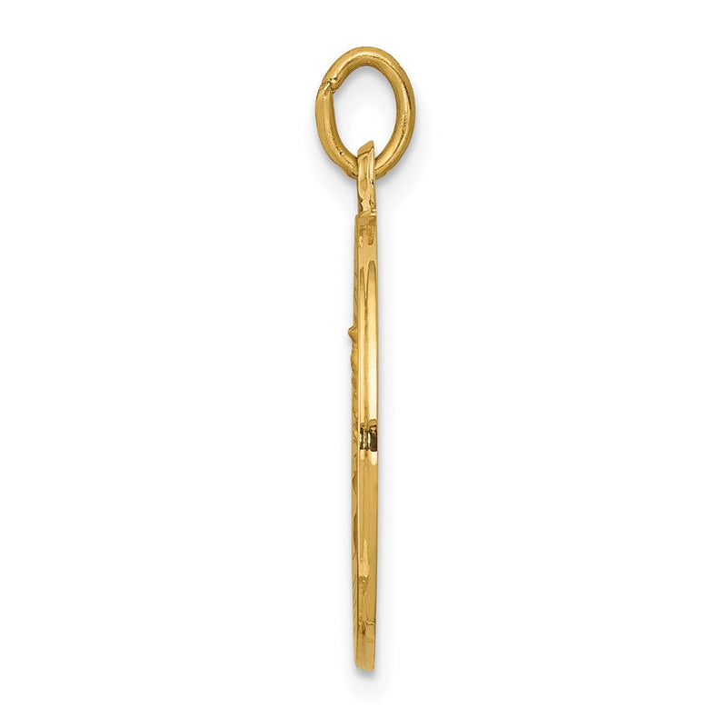 14k Yellow Gold Our Lady of Mt. Carmel Medal Charm